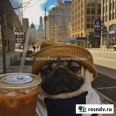 Чистка кровли от снега и наледи Ухта - изображение 1