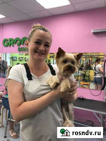 Услуги грумера Златоуст - изображение 1