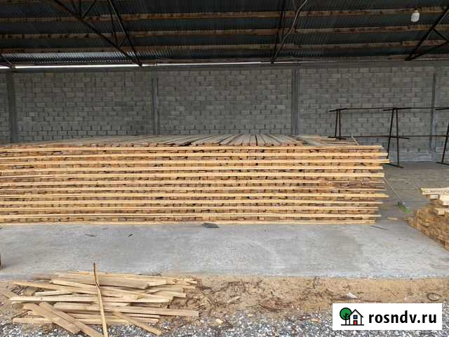 Лес Шали - изображение 1