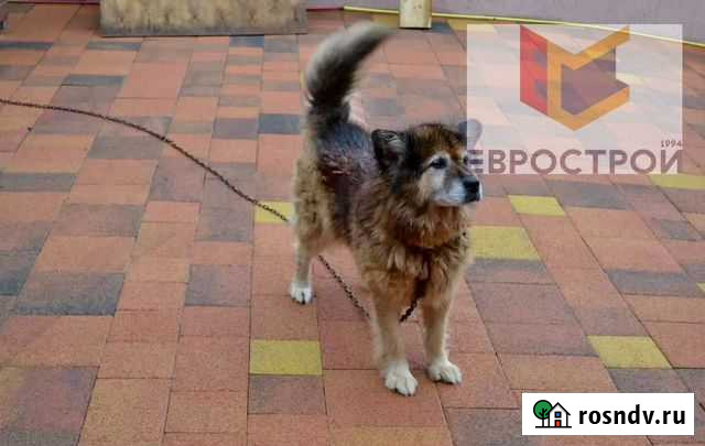 Тротуарная плитка Кропоткин - изображение 1