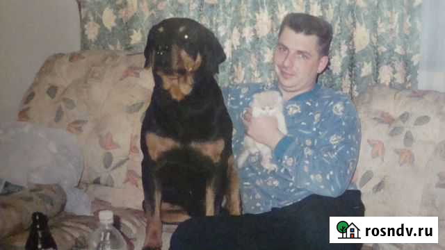 Ветеринарная помощь Екатеринбург - изображение 1