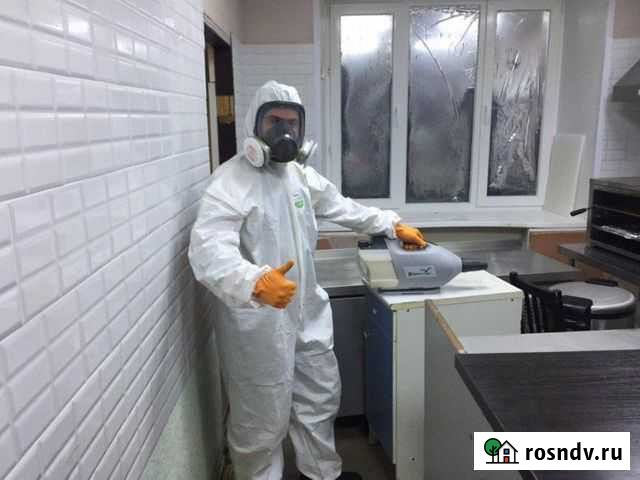 Дезинсекция. Уничтожение клопов/тараканов/плесени Нижний Новгород - изображение 1