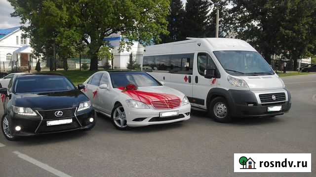 Заказ микроавтобуса на свадьбу Тамбов - изображение 1
