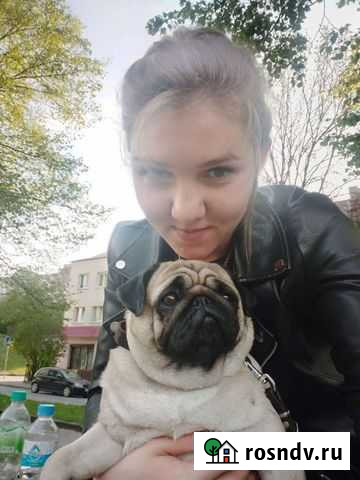 Няня на час Калининград - изображение 1