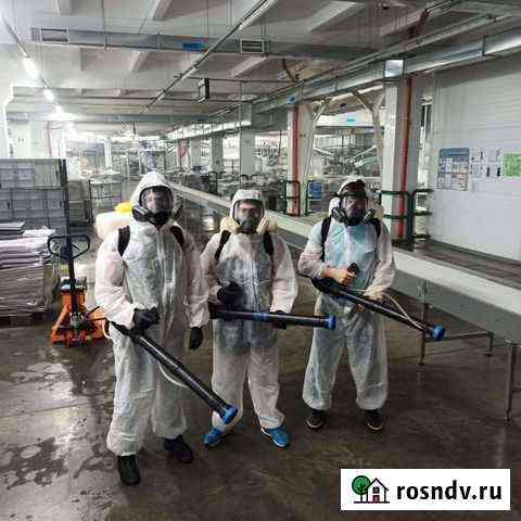 Уничтожение клопов,тараканов Смоленск