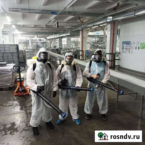 Уничтожение клопов,тараканов Смоленск - изображение 1
