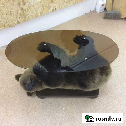 Выделка, изготовление охотничьих трофеев, таксидер Нюксеница - изображение 1