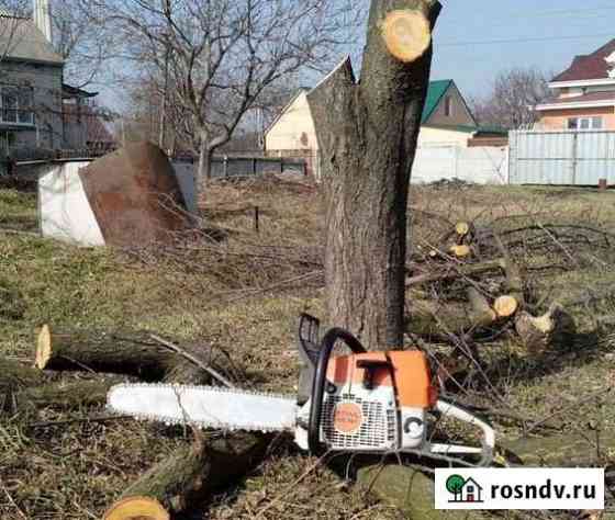 Спил деревьев Вывоз веток Расчистка участка Белгород