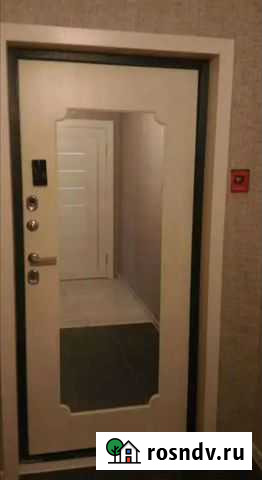 Дверь входная металлическая с зеркалом д-29 Красногорск - изображение 1