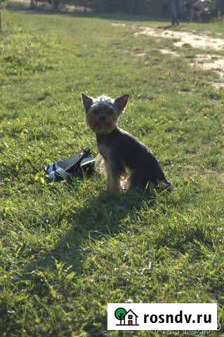 Вязка Тверь - изображение 1