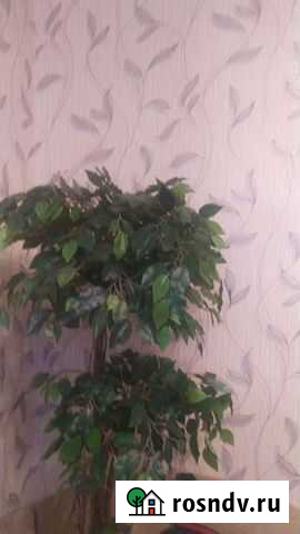 Искусственное дерево на заказ 2-3 дня изготовления Санкт-Петербург - изображение 1