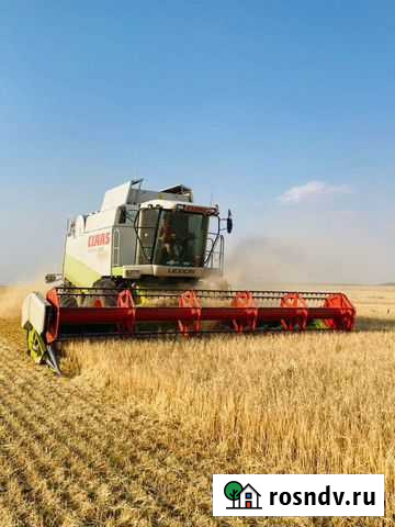 Услуги по уборке сельхозкультур подсолнечник соя к Льгов - изображение 1