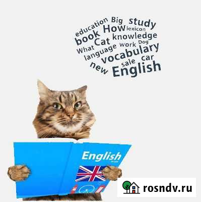 Дистанционное выполнение переводов, домашних работ Воронеж - изображение 1