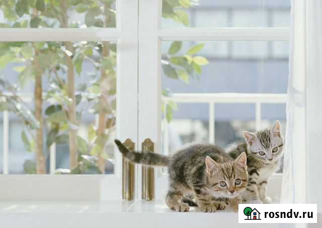 Окна пвх Тула - изображение 1