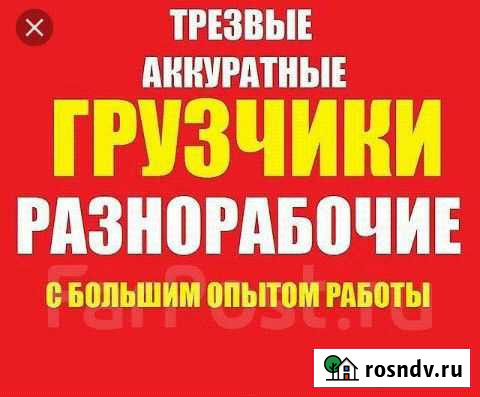 Грузчики разнорабочие Брянск - изображение 1