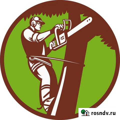 Услуги Арбориста, Спил,Кронирокание,валка деревьев Ковров - изображение 1