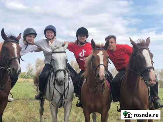 Прокат лошадей Щекино