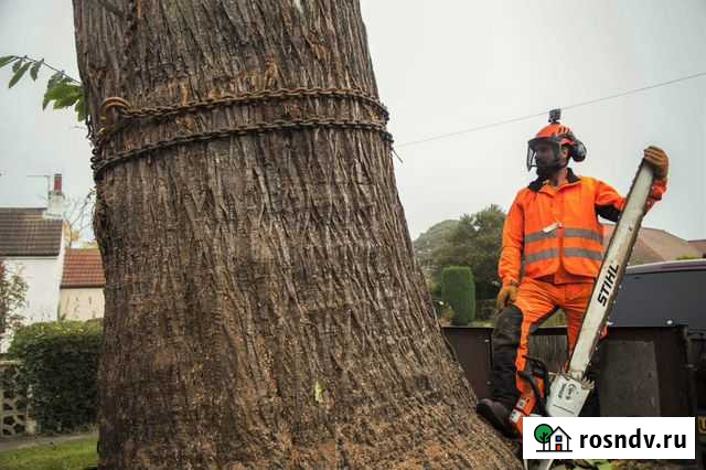 Спил деревьев Расчистка участков Снос домов Казань - изображение 1