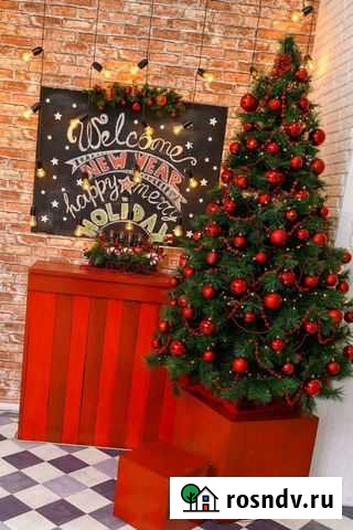 Новогодняя фотосессия Рязань - изображение 1