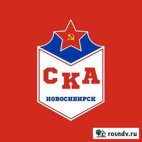 Хоккей для детей Новосибирск