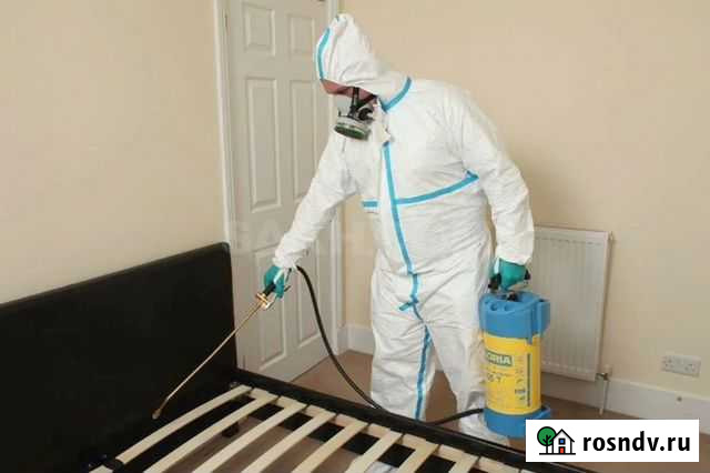 Дезинфекция от клопов и тараканов. Клининг Ростов-на-Дону - изображение 1