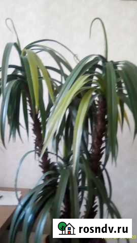 Мелкий домашний ремонт Ульяновск - изображение 1