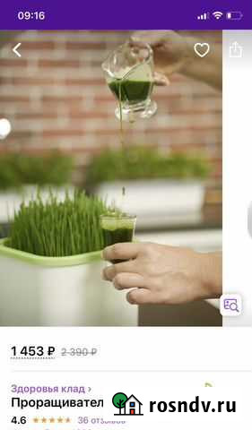 Проращиватель Сургут - изображение 1