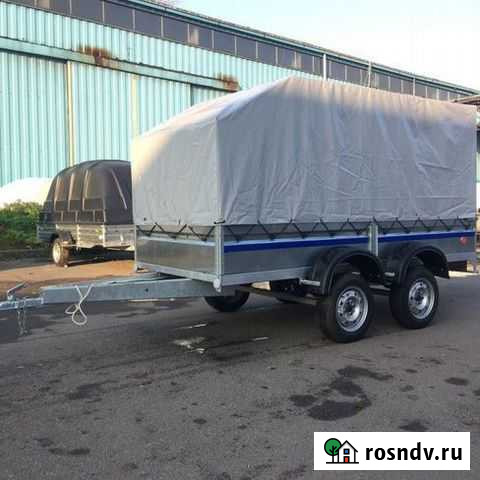 Перевезу скот Кинешма - изображение 1