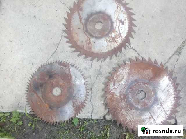 Диски для пилорамы Алатырь - изображение 1