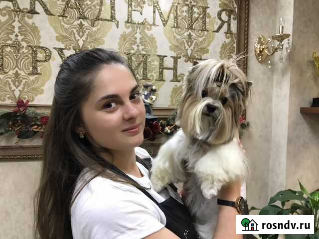 Стрижка собак Алексин - изображение 1