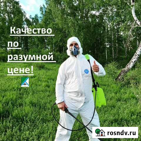 Обработка от тараканов, клопов, муравьёв, крыс Новосибирск - изображение 1