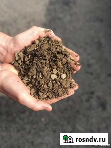 Пгс Приморск - изображение 1