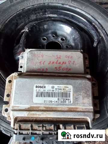 Мозги Бологое - изображение 1