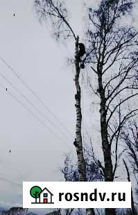 Спил деревьев Старый Оскол - изображение 1