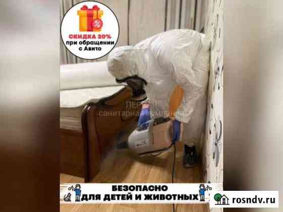 Дезинсекция. Уничтожение тараканов, крыс, мышей Тула