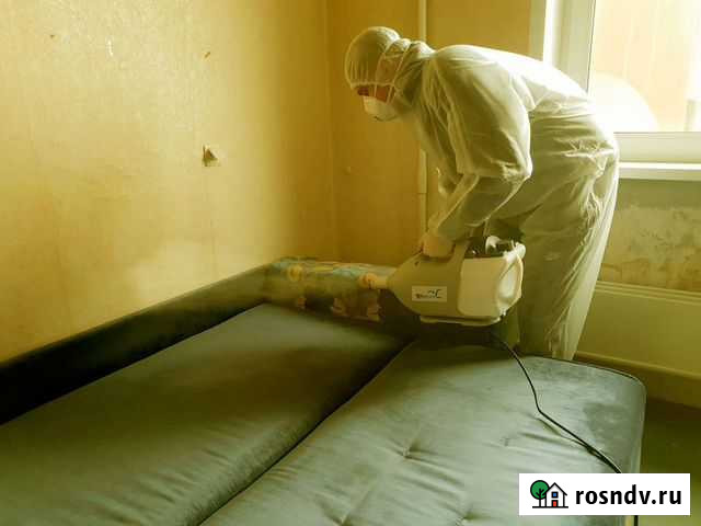 Дезинфекция от тараканов,клопов Москва - изображение 1