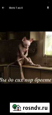 Маст. ногтевого серв и бровист, депиляция, прокол Электросталь - изображение 1