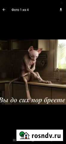 Маст. ногтевого серв и бровист, депиляция, прокол Электросталь - изображение 1