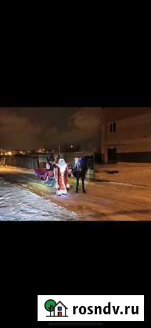 Детмороз и снегурочка на санях Нижний Тагил - изображение 1