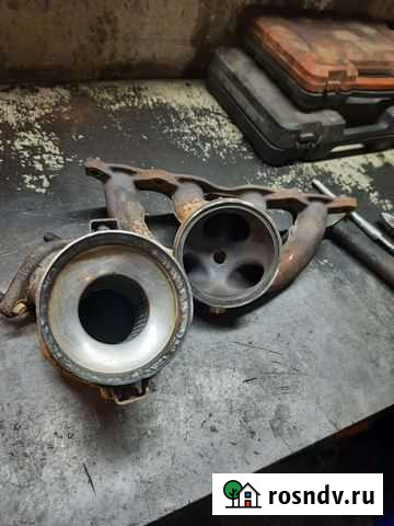 Удаление ката Не бесплатно Тамбов - изображение 1