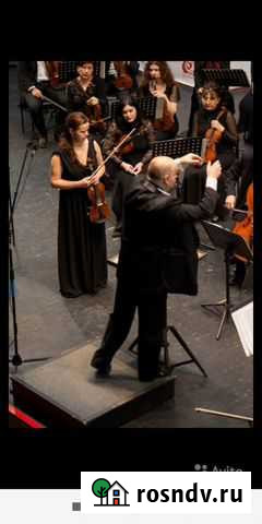 Преподаватель по скрипке Владикавказ - изображение 1