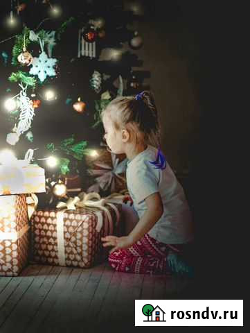 Фотограф Новосибирск - изображение 1