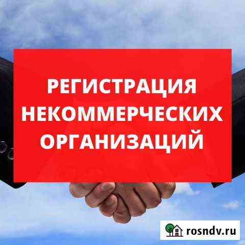 Регистрация некоммерческих организаций (нко) Мурманск
