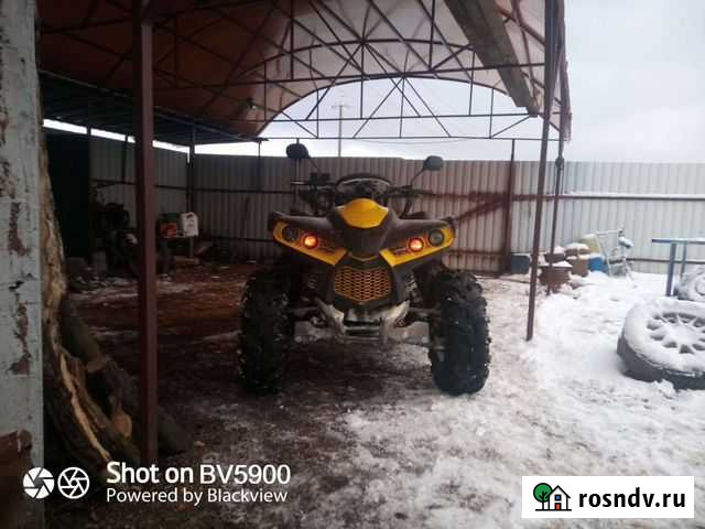 Сестек Пятовский - изображение 1