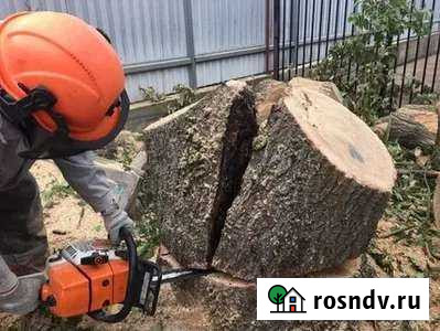 Спил деревьев, расчистка участков, демонтаж Волоконовка - изображение 1