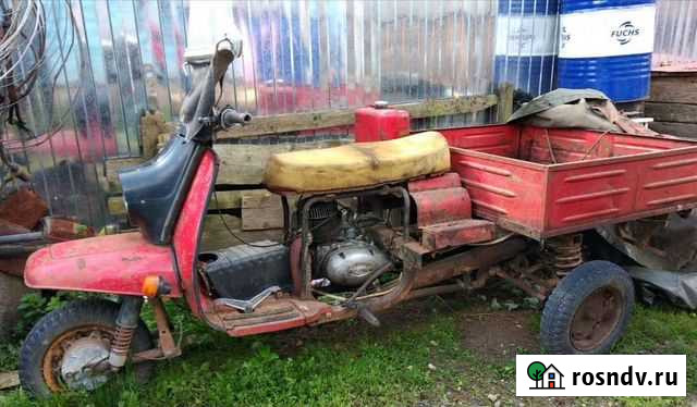 Муравей Торжок - изображение 1