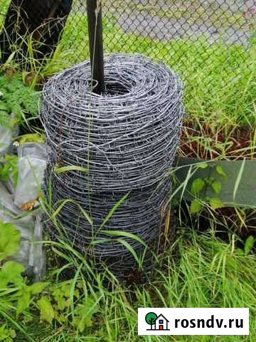 Колючая проволока Кола - изображение 1