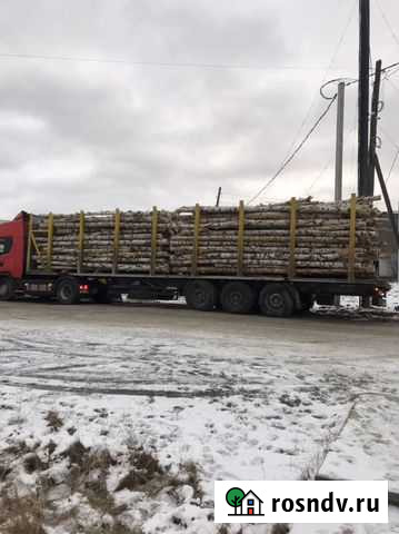 Береза на дрова Первоуральск - изображение 1