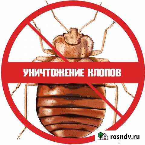 Уничтожение тараканов, клопов, муровьев,клещей Волжский