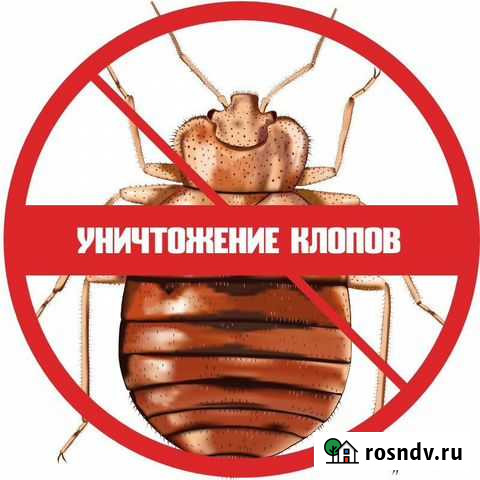 Уничтожение тараканов, клопов, муровьев,клещей Волжский - изображение 1